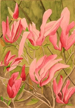 Magnolie, akwarela , format 42/56 cm