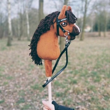 Hobby horse- Ginger KHT Flower Field
