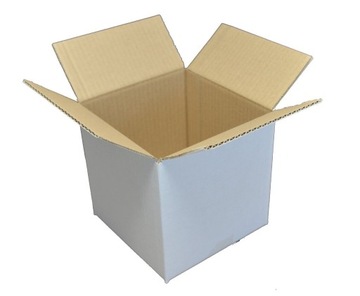 karton biały pudło kartonowe 100szt  420/300/285mm