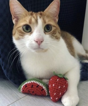 Szydełkowa zabawka dla kota z walerianą– truskawka