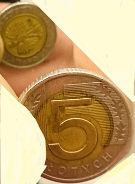 5 złotych 1994,  nie symetryczne 