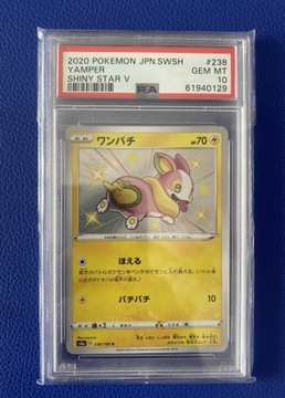 Pokemon PSA10 Yamper #238 HOLO