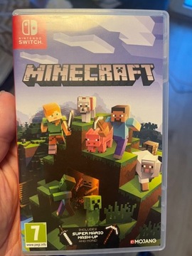 Minecraft Nintendo switch 