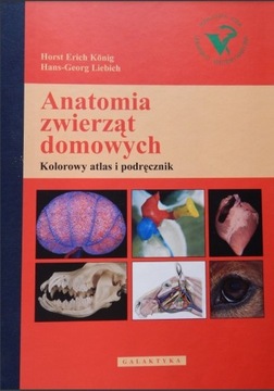 Anatomia zwierząt domowych. Kolorowy atlas wet