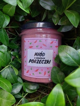 Miód z porzeczką 350ml Kuźnia miodu