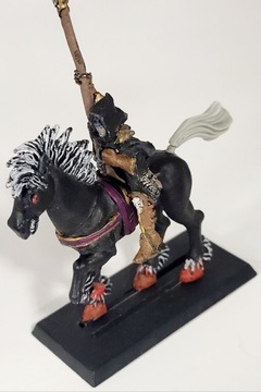 Warhammer Dark Elves - Dark Rider 07