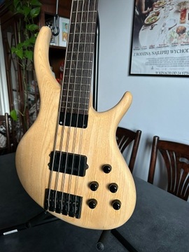 Tobias Growler Gibson 5 USA - amerykański bass