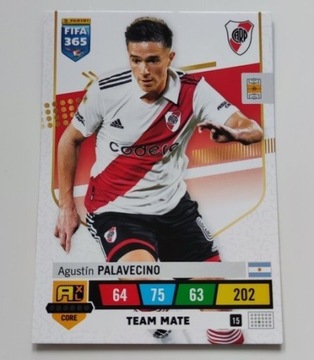 FIFA 365 PANINI - AGUSTIN PALAVECINO 15