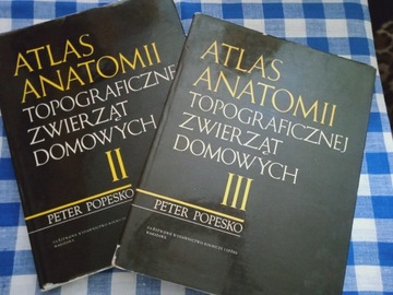 Atlas anatomii topograficznej zwierząt P. Popesko