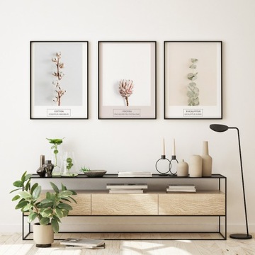plakat obrazy magnolia eukaliptus trawa  minimaliz