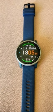 GARMIN Smartwatch Venu 2 Srebrny granitowy