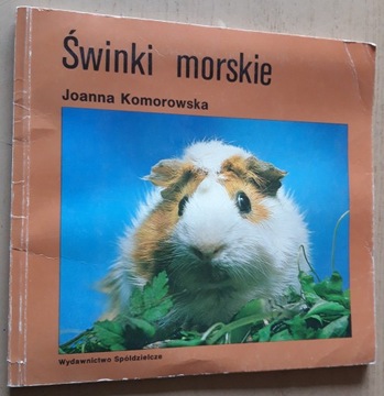 Świnki morskie – Joanna Komorowska