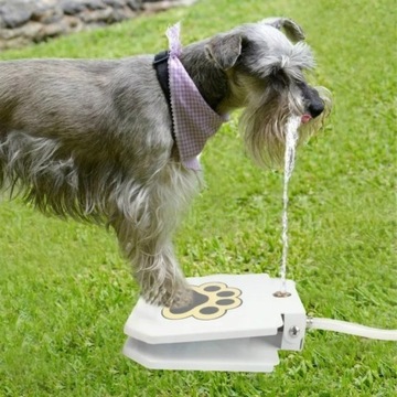 Fontanna automatyczny podajnik wody psa zwierząt