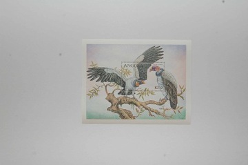 Angola Sw 1540** ptaki drapieżne /ms/