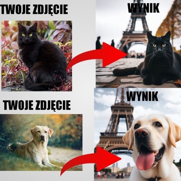 TWOJE ZWIERZĘ POD WIERZĄ EIFFLA W PARYŻU 