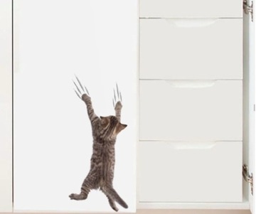 Naklejka 3D śliczny kot wdrapujący się