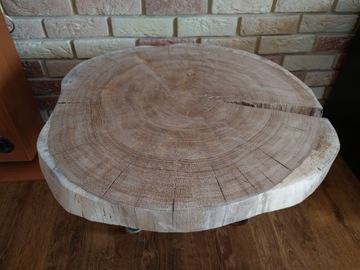 Plaster drzewa DĄB na stolik kawowy, duży, suszony