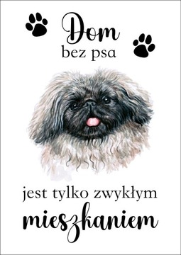 Plakat Dom bez psa jest tylko zwykłym mieszkaniem