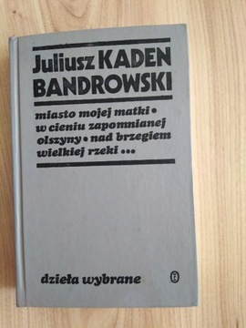 Juliusz Kaden Bandrowski dzieła wybrane,stan ideal