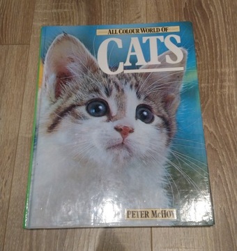 All Colour World of Cats - Książka Angielska