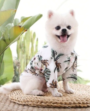Koszula wakacyjna ubranko dla psa