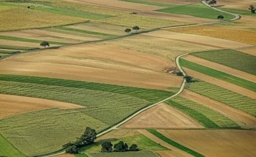 Działki rolne