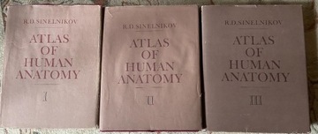 Atlas of human anatomy - R. Sinelnikov