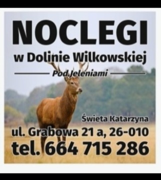 Noclegi Świętokrzyskie,, Pod Jeleniami "