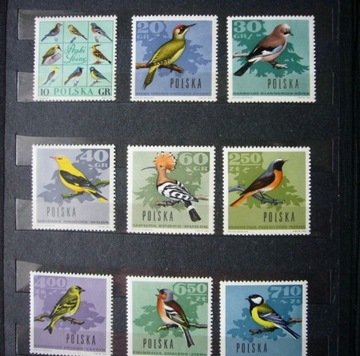 Ptaki leśne. Papier biały, średni, kredowany 1966