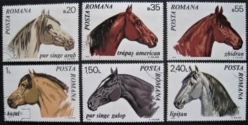 Fauna konie 2888 -2892 