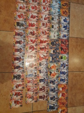 Panini karty Champions League 2010/2011