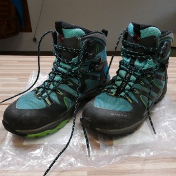 Buty Mammut Aenergy GTX 40 