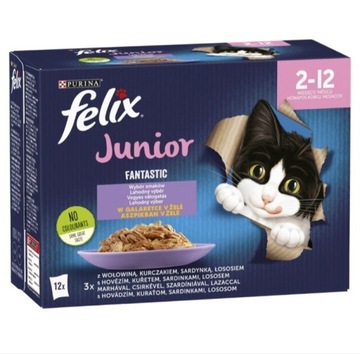 Mokra karma dla kota w saszetkach Felix Junior