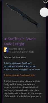 Bowie knife noc cs2