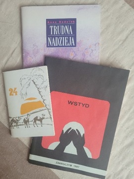 24 godziny Wstyd, Trudna nadzieja, Toksyczny wstyd