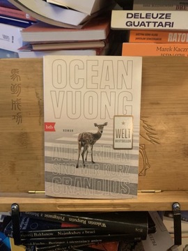 AUF ERDEN SIND WIR KURZ GRANDIOS, Ocean Vuong