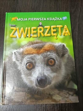 Moja pierwsza książka Zwierzęta