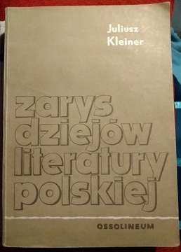 Zarys dziejów literatury polskiej. Juliusz Kleiner. 1964