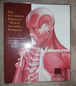 Illustrated Portfolio of Human Anatomy &