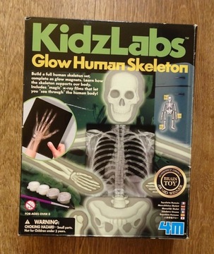 KidsLabs Glow Human Skeletom Szkielet