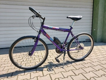 Stary rower górski TecnoBike rok 1994 Sigma BC301