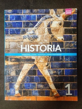 Podręcznik do Historii WSiP