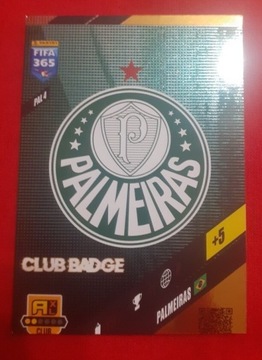 PALMEIRAS BRAZYLIA 