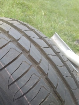 Opony Presto HP 195/65 R15 91