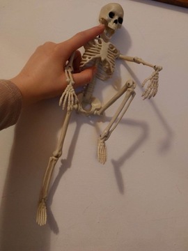 Szkielet, czaszka, ozdoba na halloween 