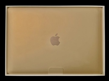 Apple MacBook Air 13.3'' 2019 Retna Kolor GOLD