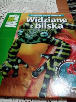 Niepojęty świąt zwierząt Widziane z bliska