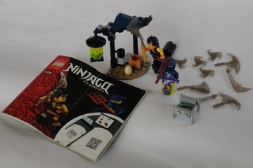 LEGO NINJAGO 71733