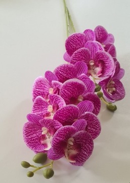Storczyk Orchidea Silikonowy jak Żywy fioletowy 80cm