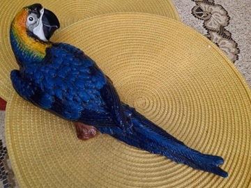 48. Żeliwna niebieska papuga